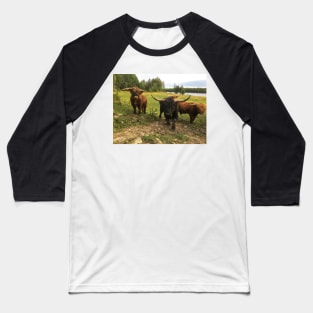 Scottish Highland Cattle Bulls 2090 Baseball T-Shirt